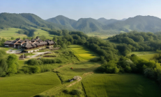 隆回县金银花深加工产业园投产，助力8000户脱贫户实现就业新篇章