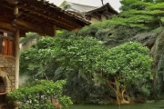 邵阳县天子湖湿地公园打造“水上迷宫”，皮划艇探秘芦苇荡成亲子爆款