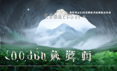 洞口雪峰云雾茶荣膺世界绿茶金奖，高端茶出口单价突破万元大关