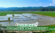 新宁县农村污水治理全覆盖，荣获“全国绿水青山典范县”称号