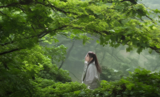 林学家唐守正智慧林业系统在邵阳万亩林场试点推广，引领绿色产业发展新篇章