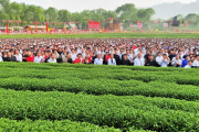 邵阳县油茶合作社分红大会盛大召开，5万茶农人均增收6000元，助力乡村振兴