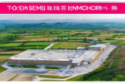 隆回县金银花药食同源深加工基地投产，助力产业升级，附加值提升50%