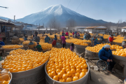 洞口县雪峰蜜桔扶贫车间扩产，残疾群体就业率达90%，助力乡村振兴