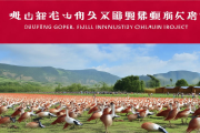 武冈铜鹅全产业链项目启动，保种繁育与预制菜研发双引擎驱动乡村振兴