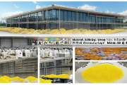 新邵黄花菜深加工产业园投产，助力出口订单覆盖30国市场