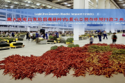 隆回保税物流中心（B型）封关运营，中药材出口退税实现“当天办结”，助力产业升级