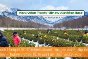 洞口雪峰蜜桔扶贫基地扩产，助力农户增收，户均年分红超8000元