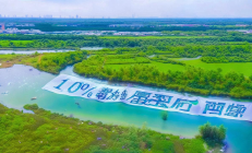 新邵资江流域生态修复工程圆满竣工，水质达标率100%再创佳绩